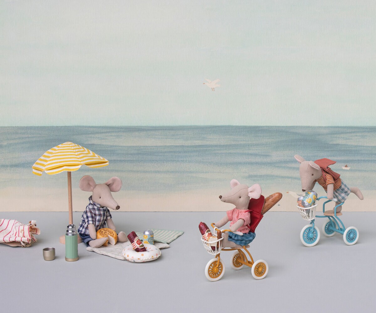 Tricycle Basket for Mouse