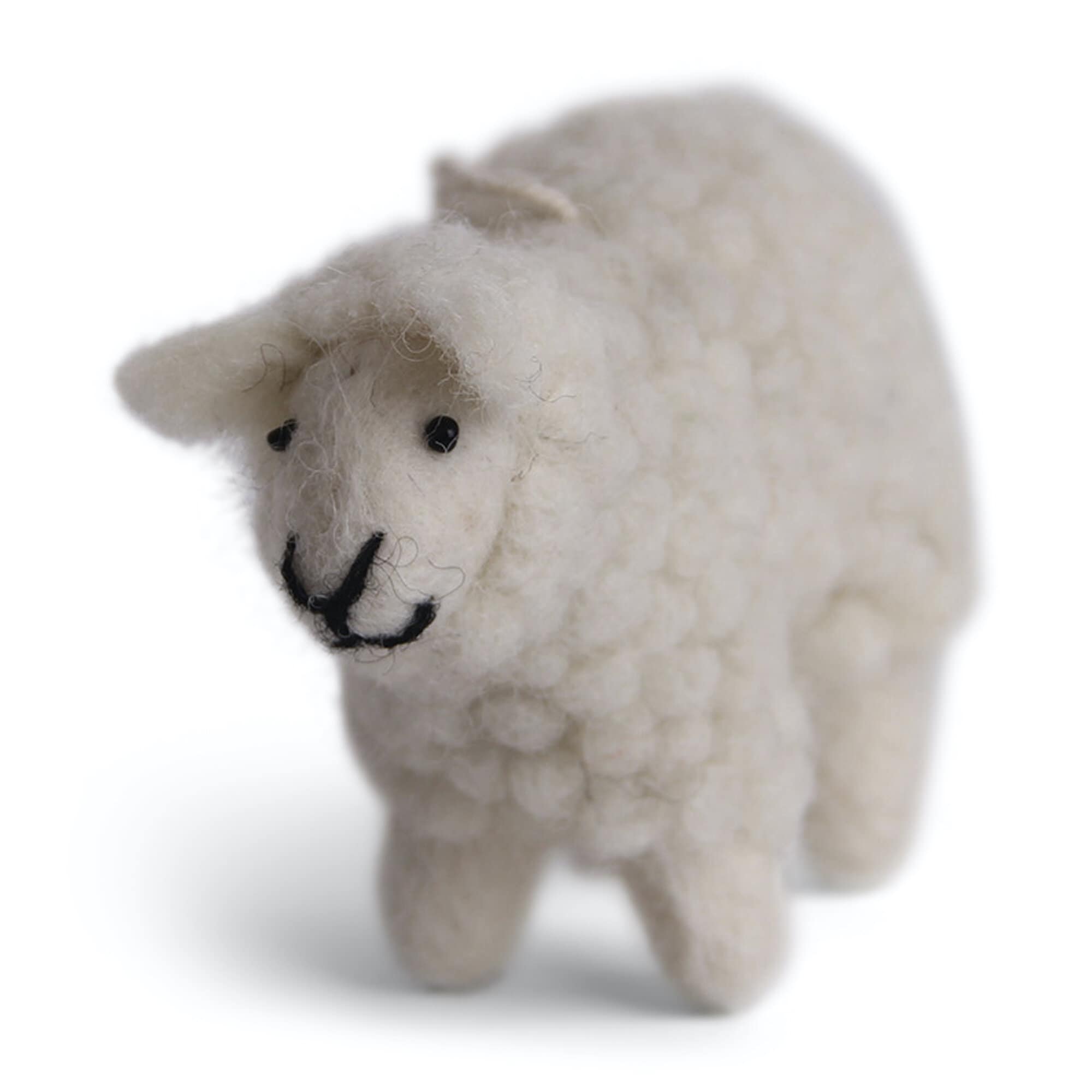 Sheep White Wool