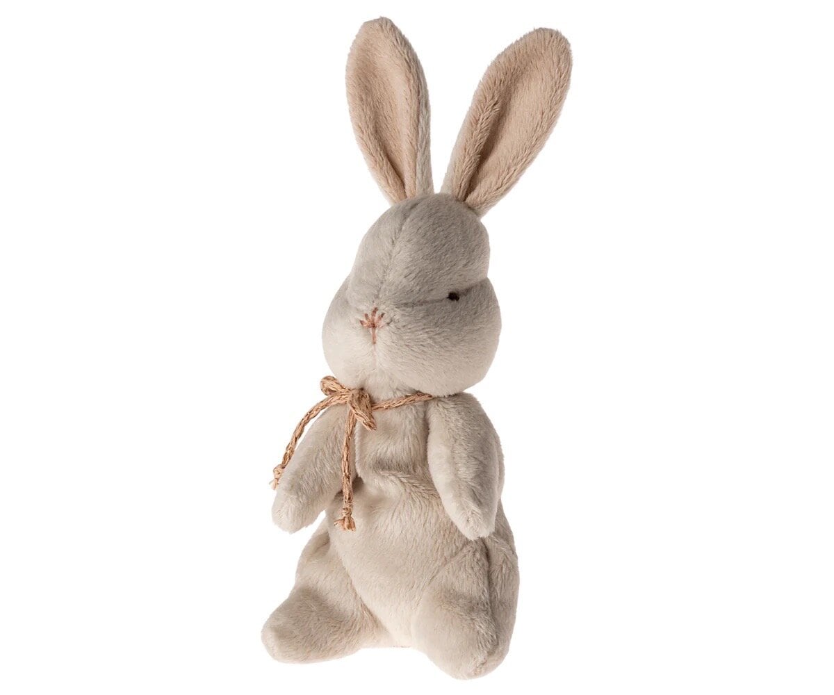 My First Bunny