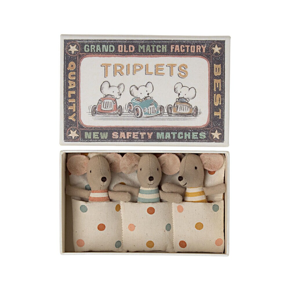 Triplets Baby Mice in Matchbox