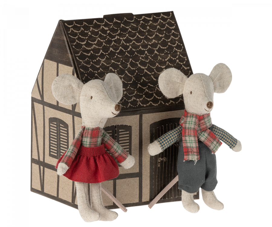 Twins Mice in Winter Cabin