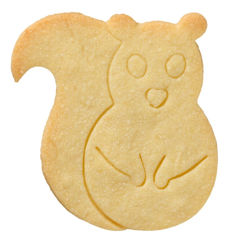 Cookie Cutter Squirrel