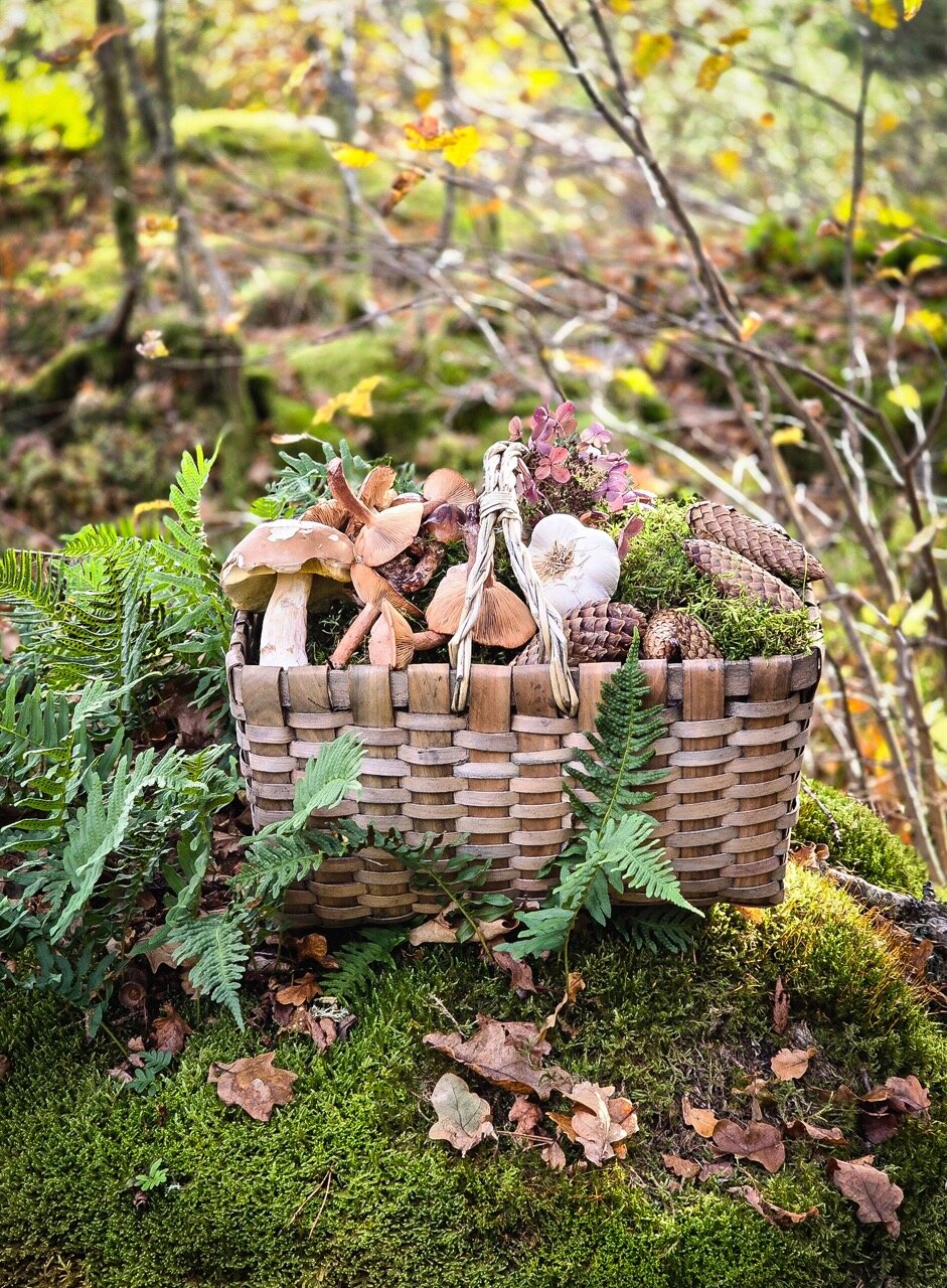 Wood Basket Kerstin w. Handle Grey Small