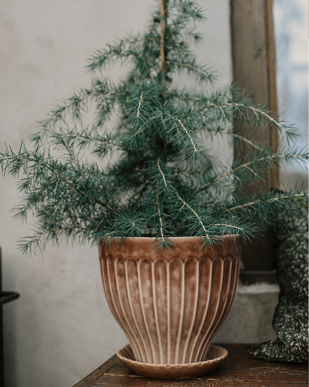 Pot Anna 25 cm Ash Rose