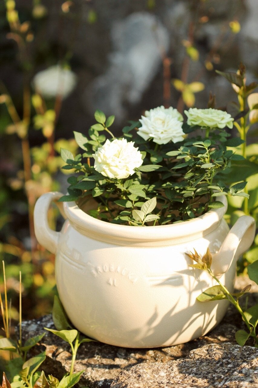 Pot Brobacka 4L Cream White Low