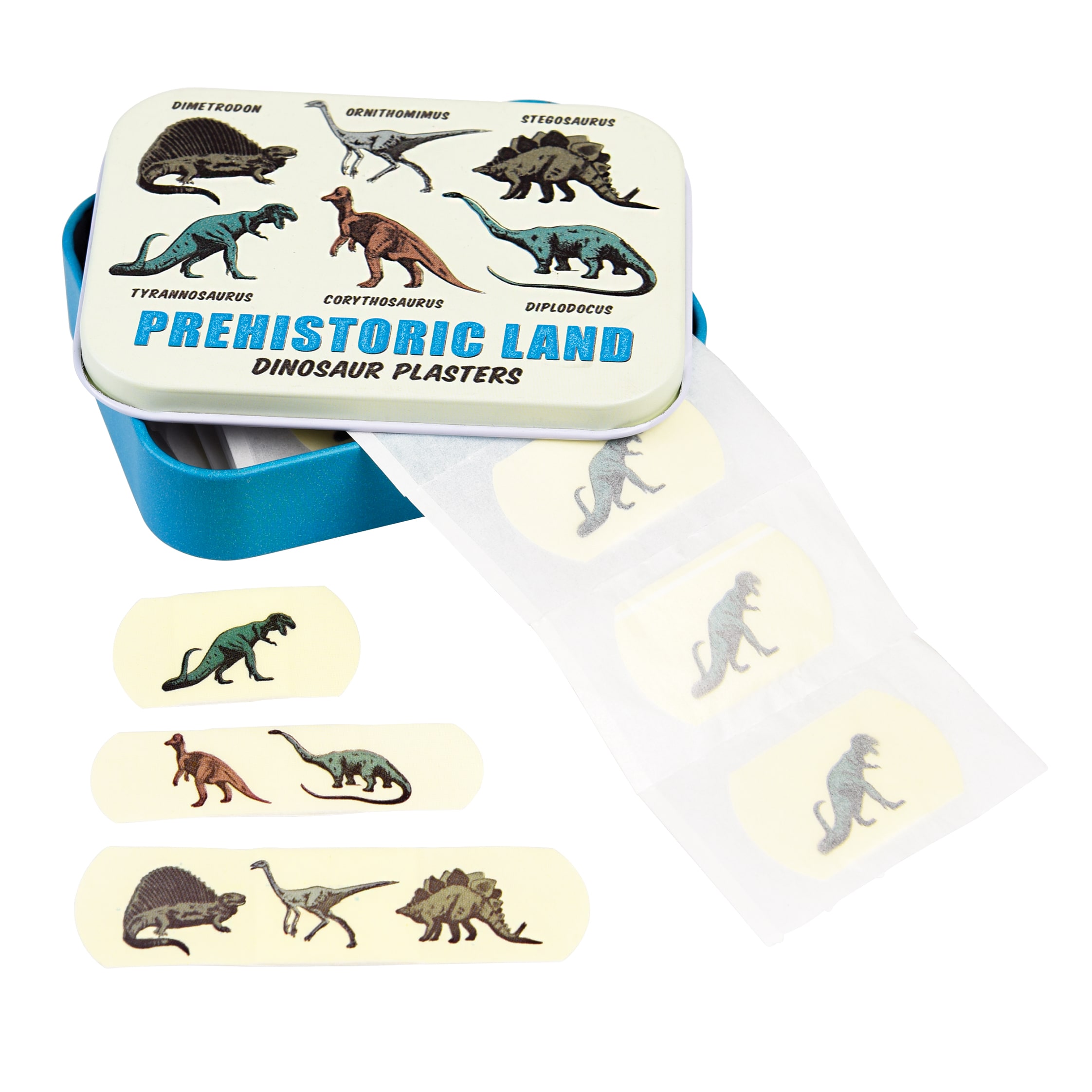 Prehistoric Land Plasters