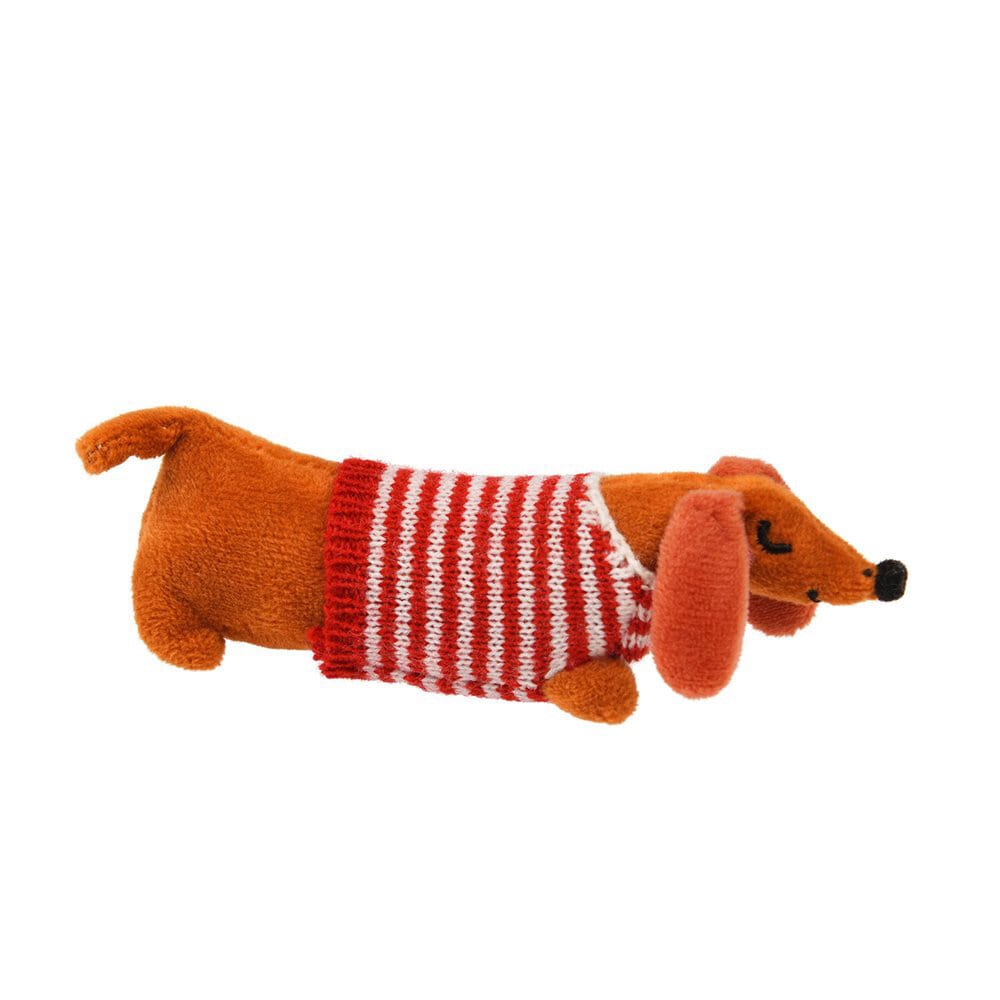 Sausage Dog In A Little Box