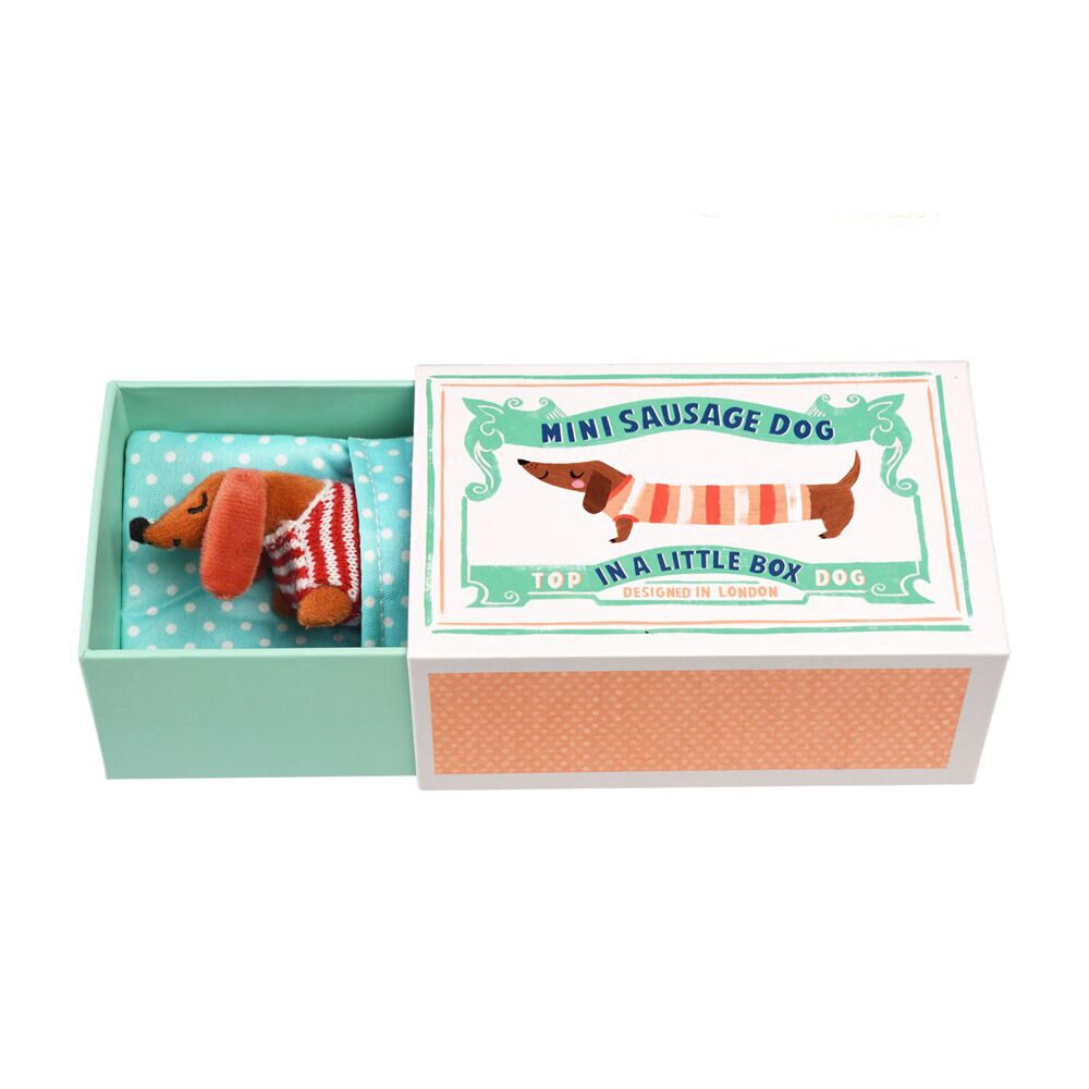 Sausage Dog In A Little Box
