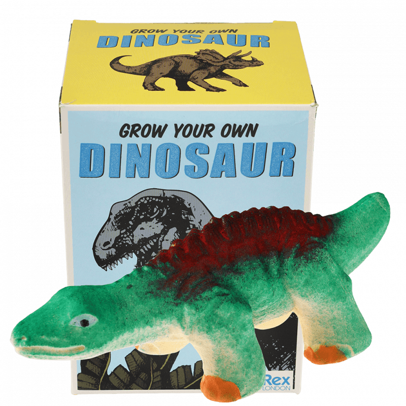 Hatching Dinosaur Egg
