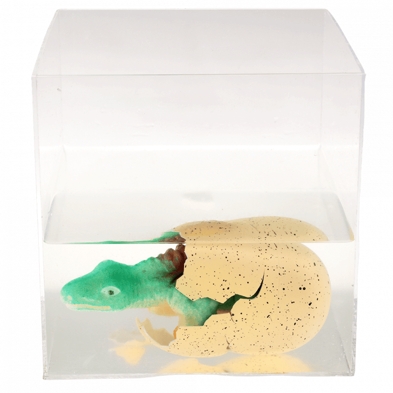 Hatching Dinosaur Egg