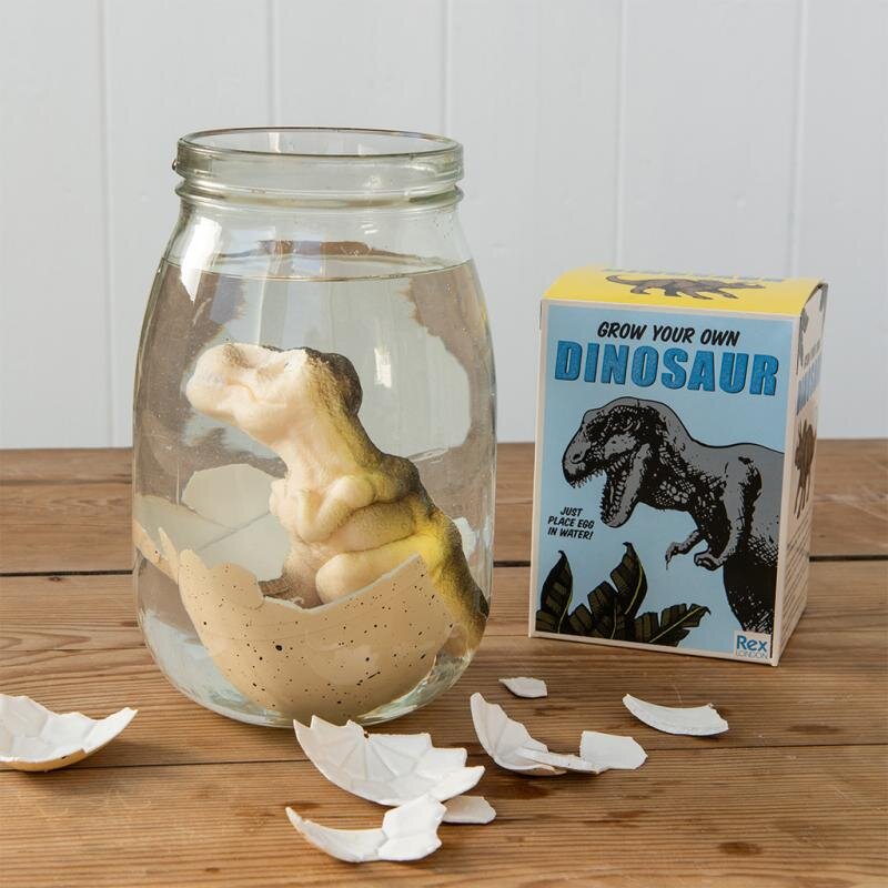 Hatching Dinosaur Egg