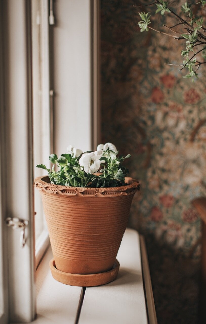 Pot Alvaro Earthenware Terracotta XL