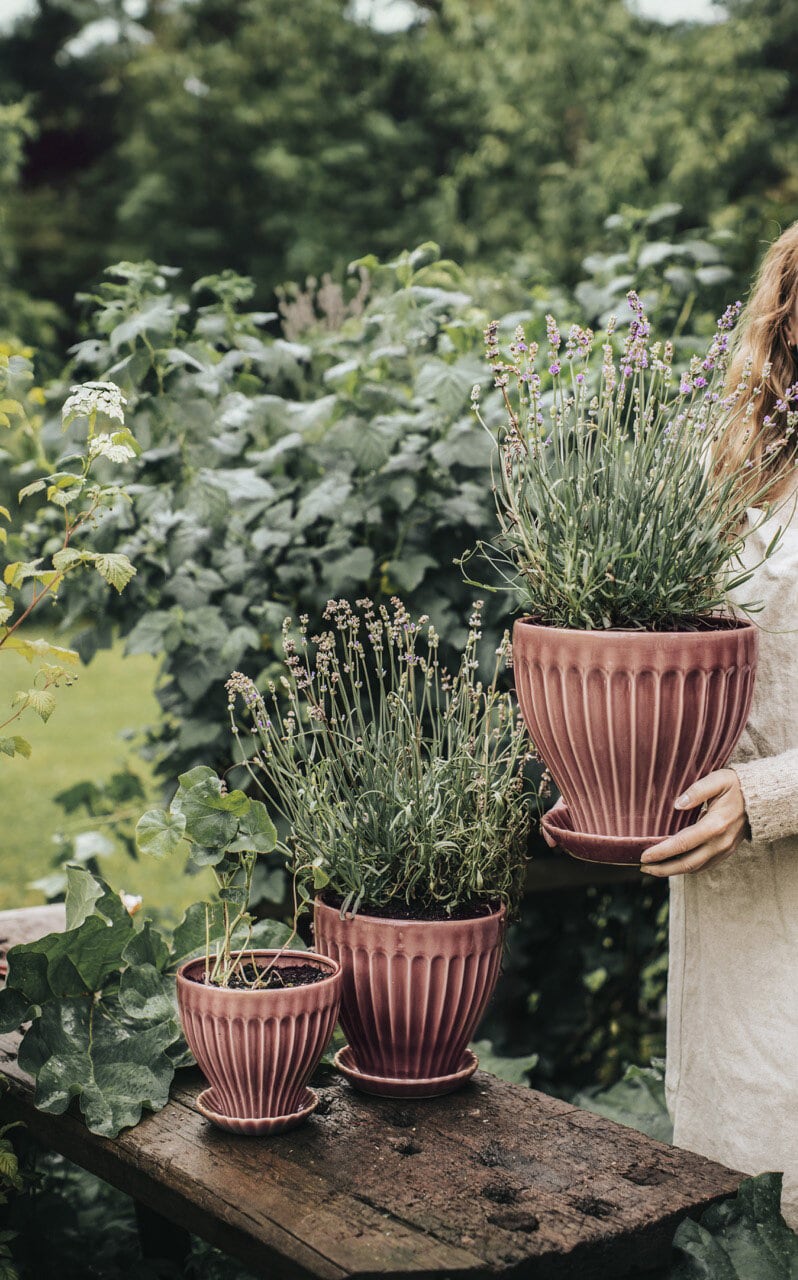 Pot Anna 21 cm Ash Rose