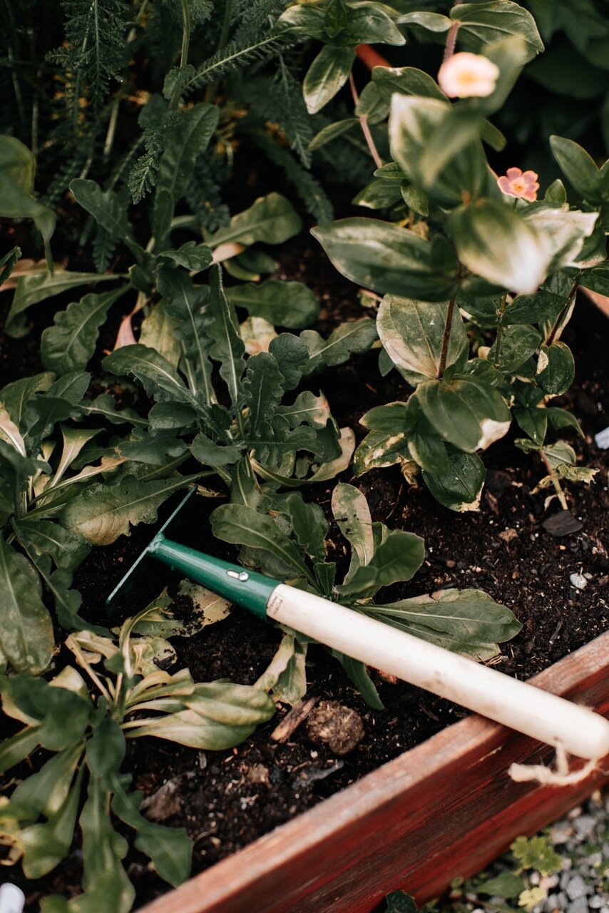 Rake Floda Green Small