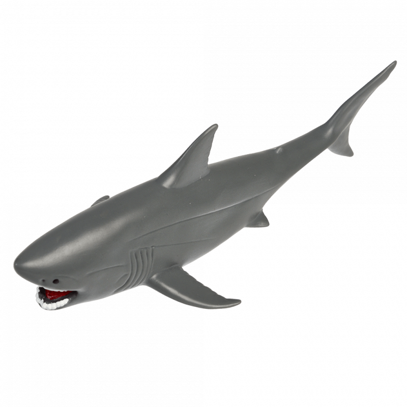 Bath Toy Shark