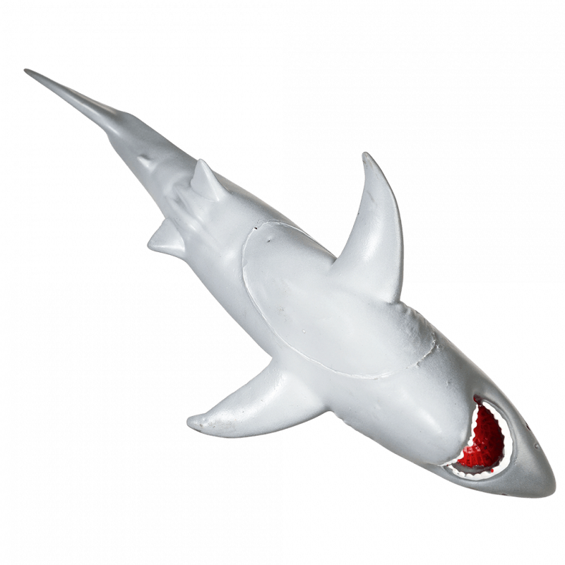 Bath Toy Shark