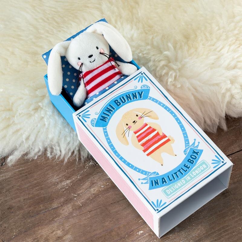 Bunny In A Little Box