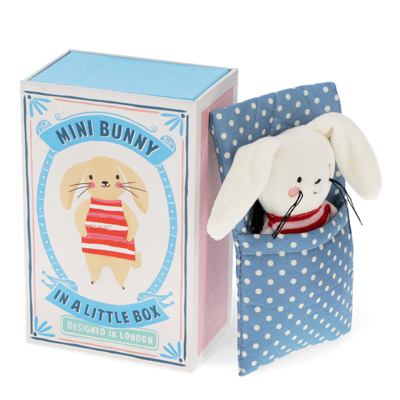 Bunny In A Little Box