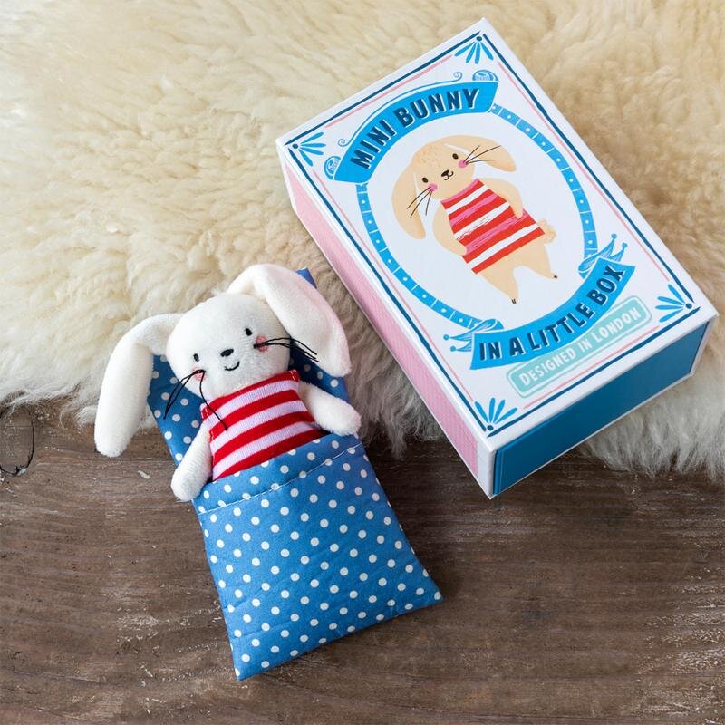 Bunny In A Little Box