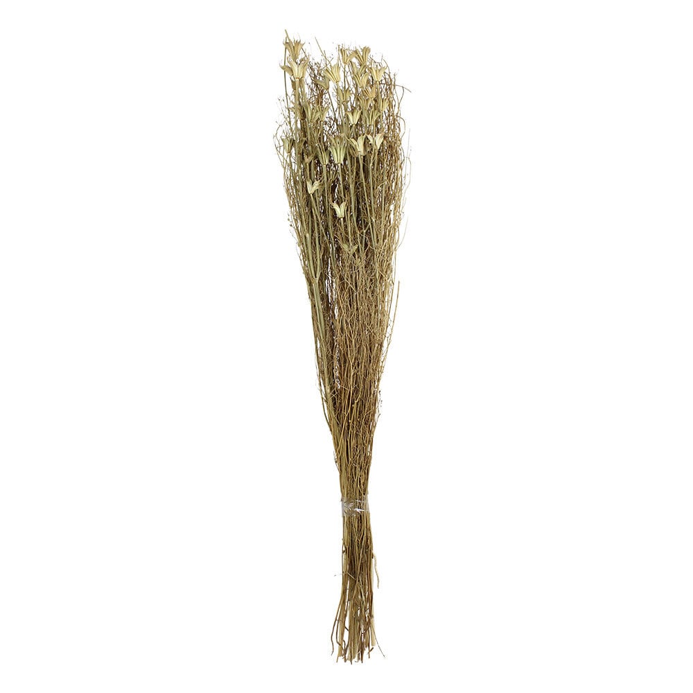 Dried Bouquet Black Caraway