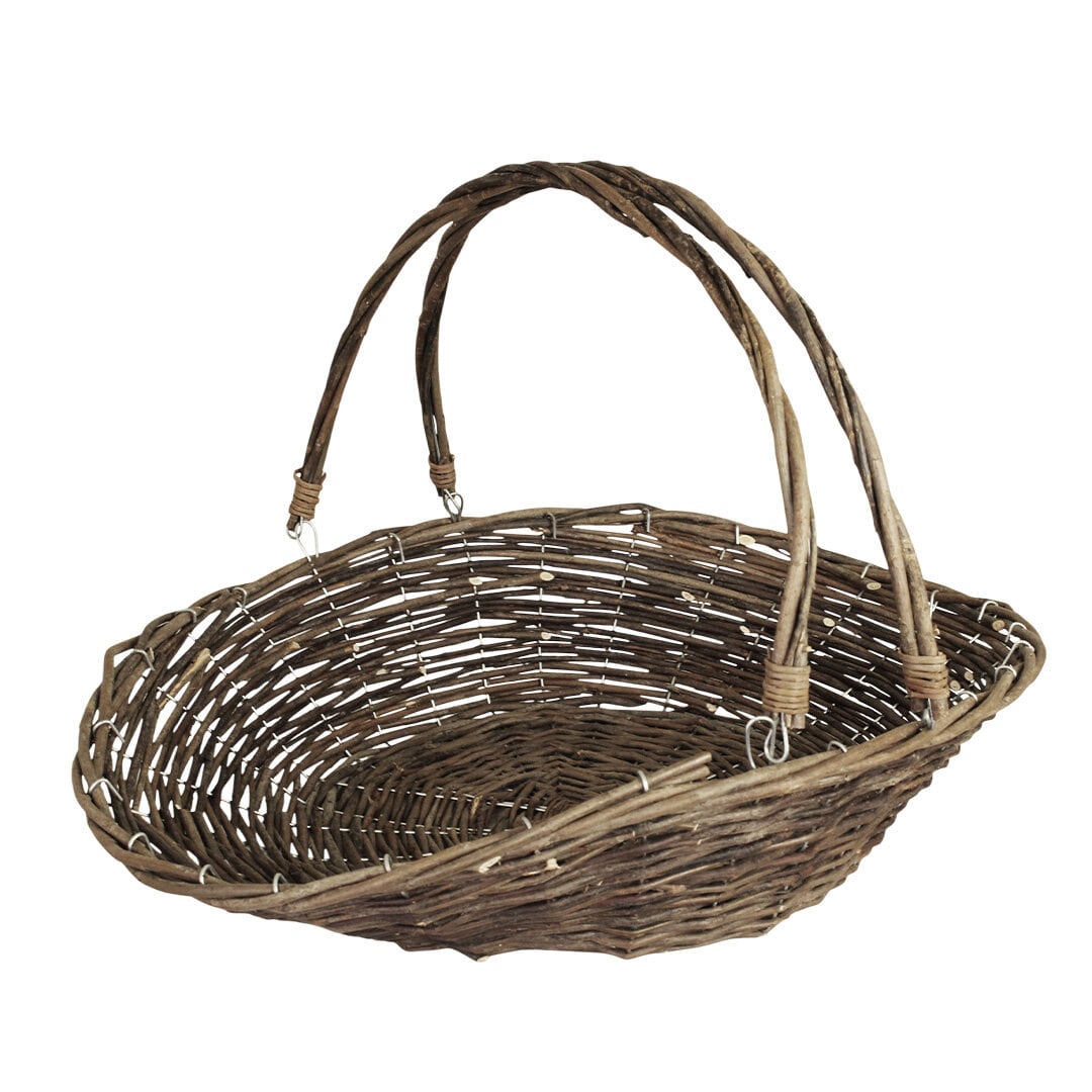 Willow Harvest Basket Iris