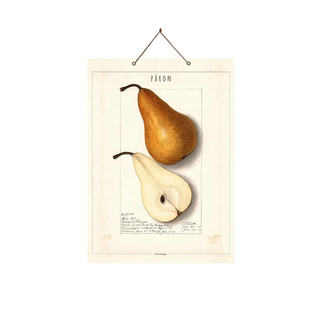 School Poster Pear