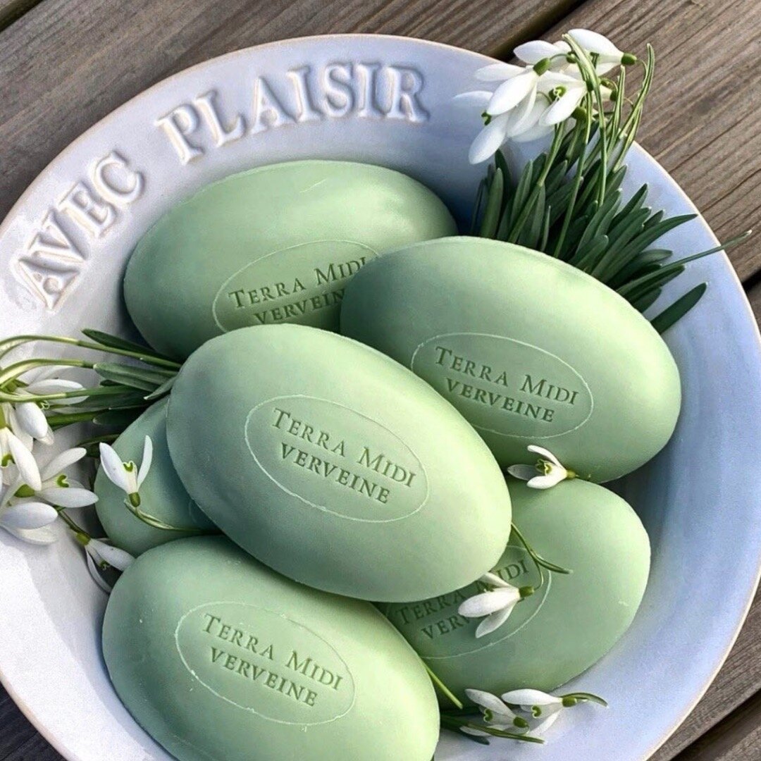 Goose Egg Cellophane Verbena