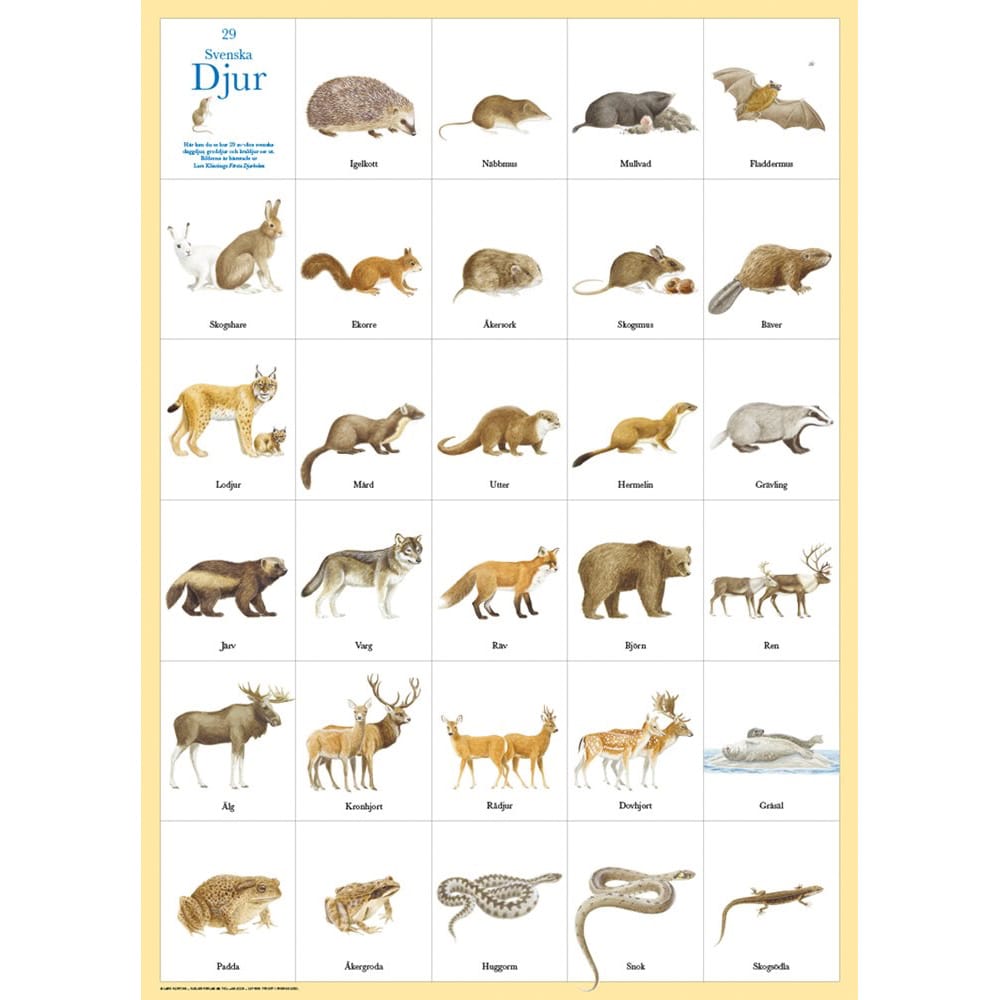 Poster Swedish Animals