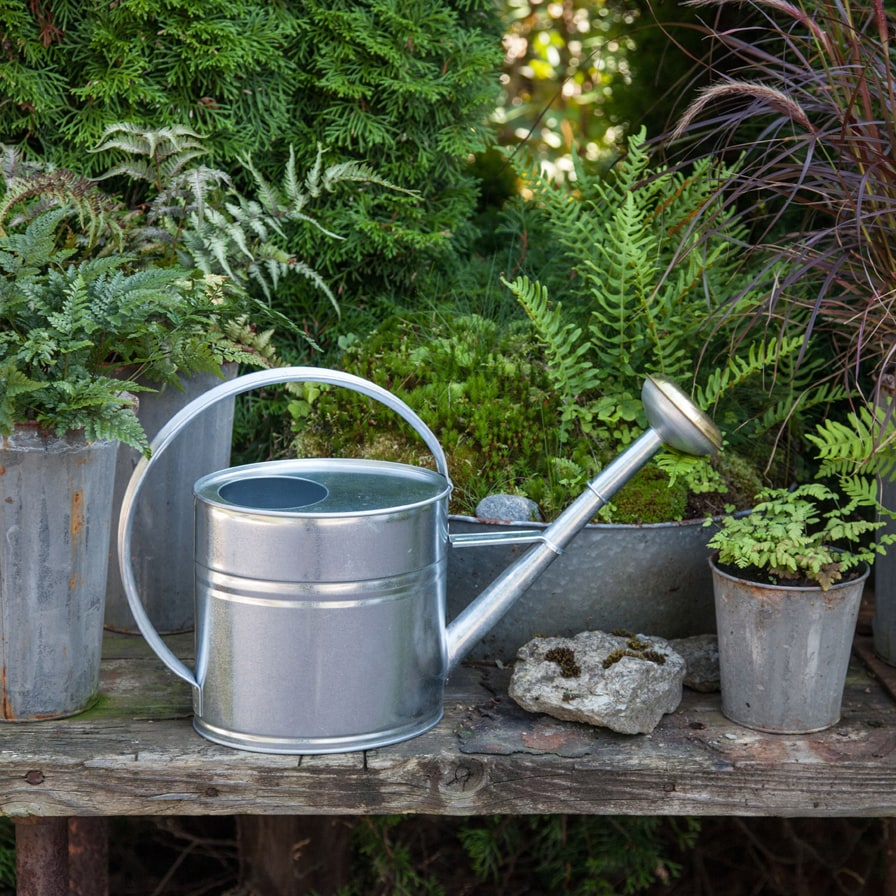 Watering Can Oval Zinc 4L