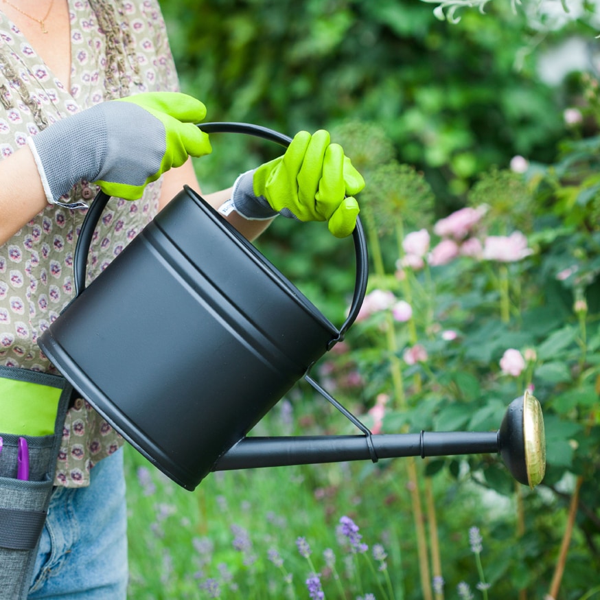 Watering Can Oval Matte Black 4L