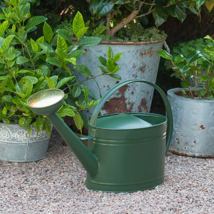Watering Can Oval Moss Green 7L