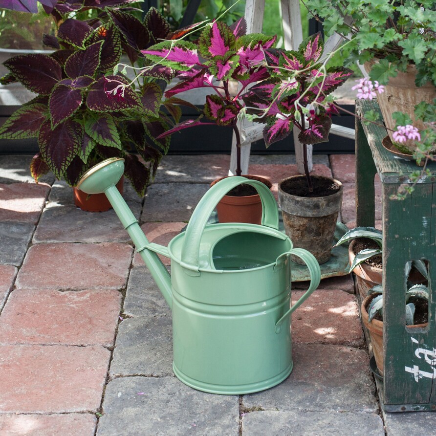 Watering Can Round Sage Green 8L