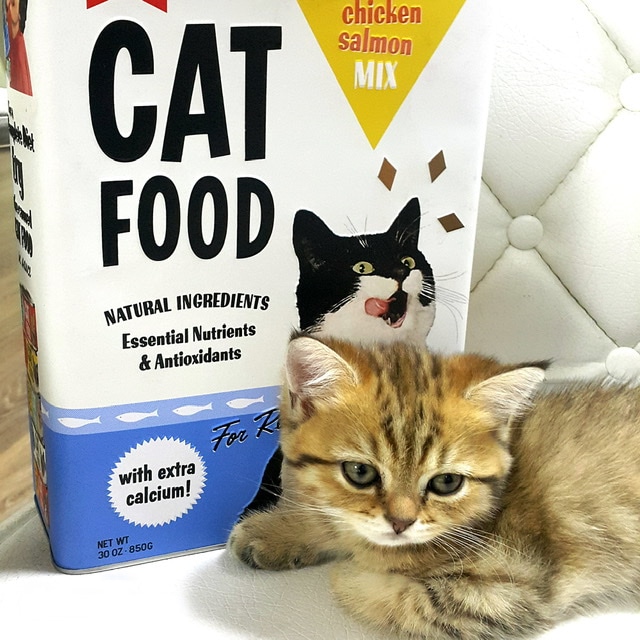 Tin Cat Food High