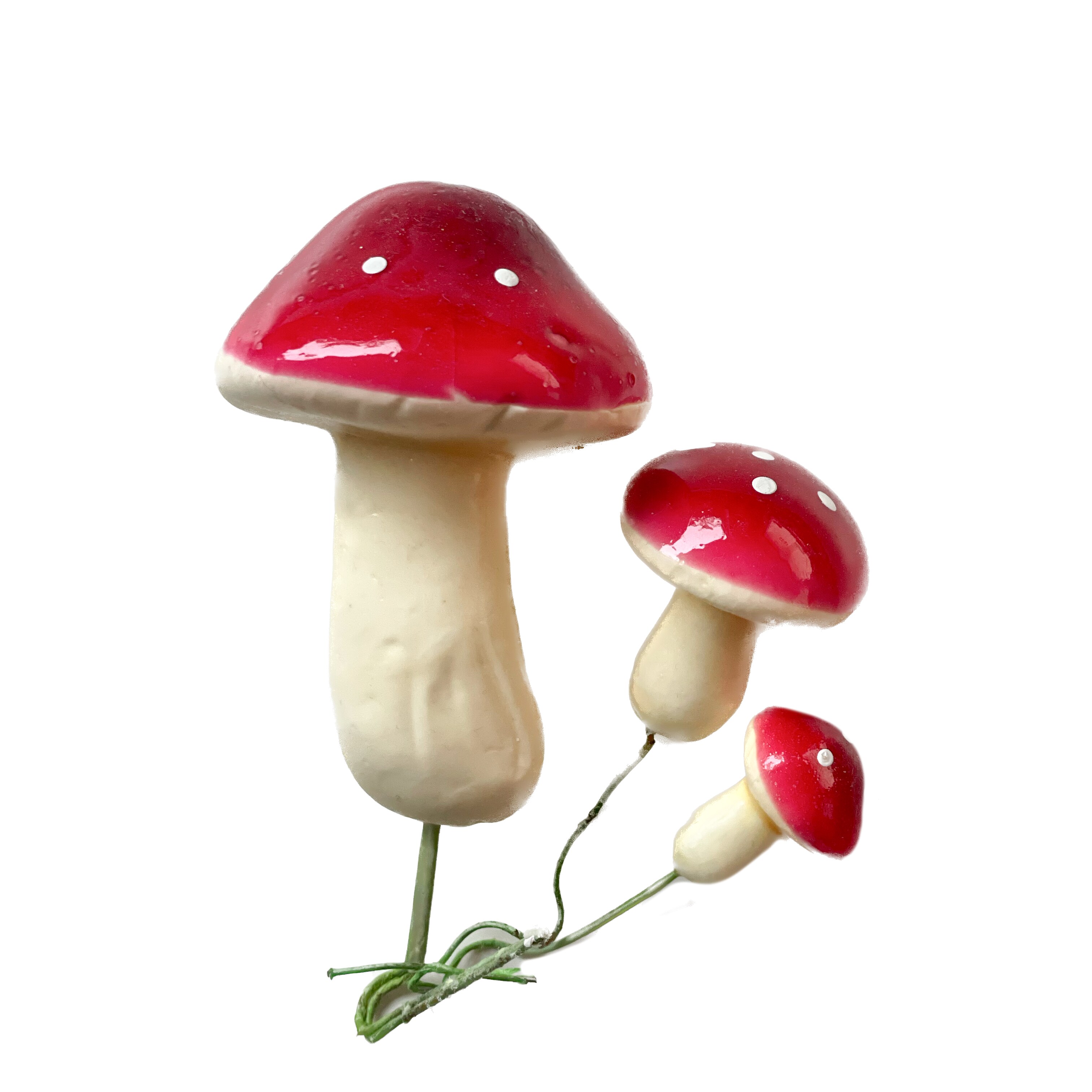 Mushrooms 4-Pack