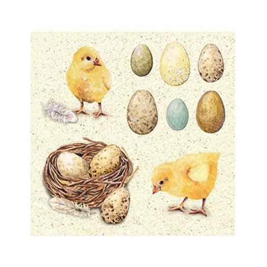 Napkin Chickens & Eggs