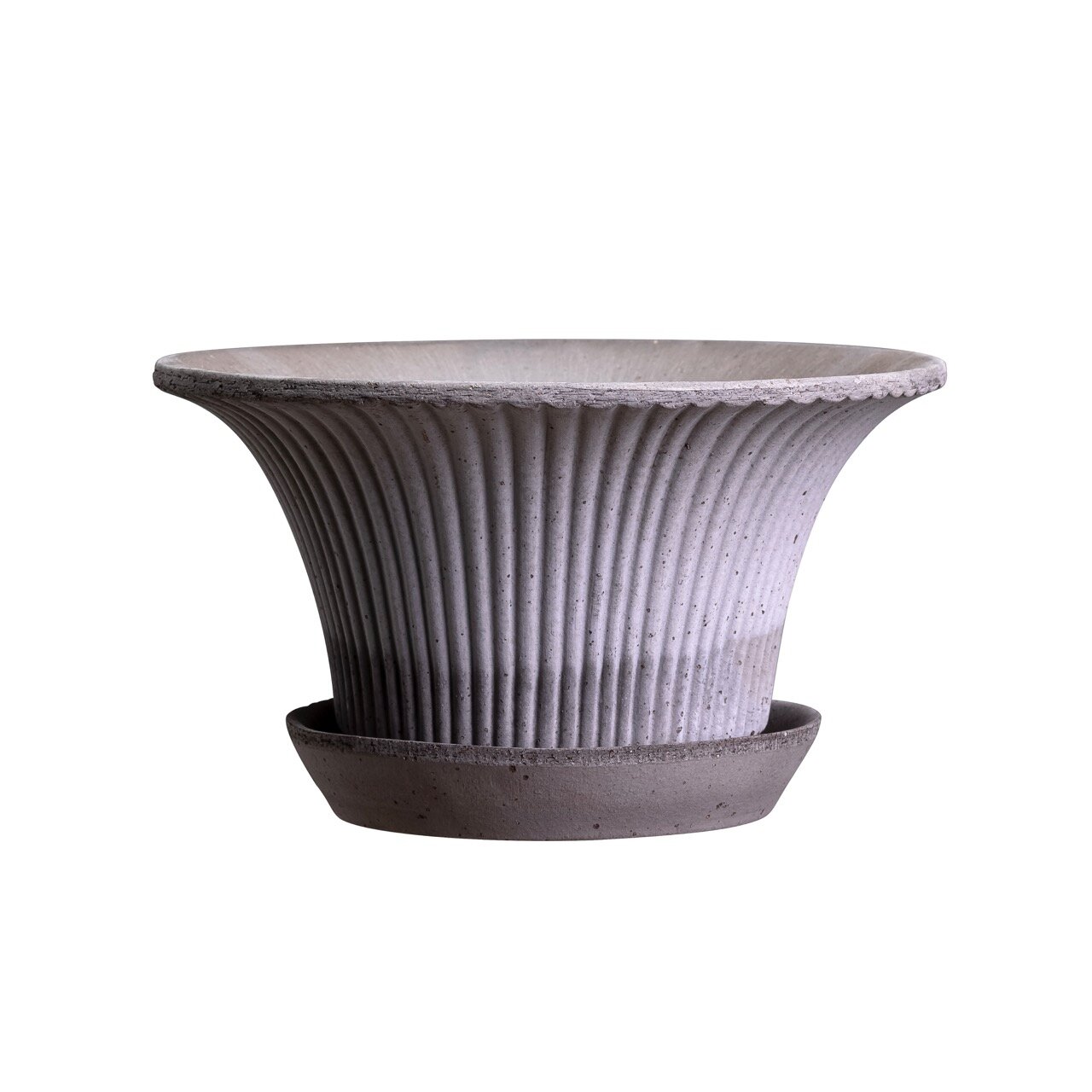 Pot Daisy Grey w. Saucer