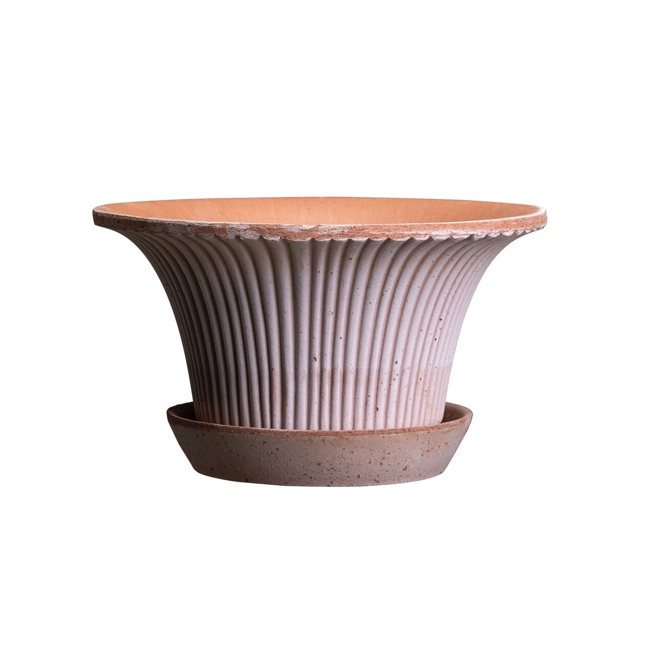 Pot Daisy Pink w. Saucer