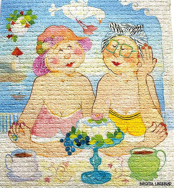 Dishcloth On The Porch Birgitta Lindeblad