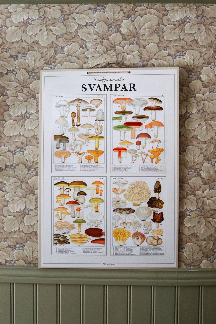 School Poster Mushrooms