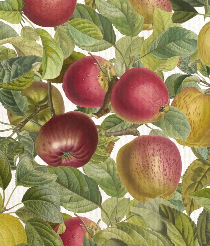 Dishcloth Apple Pink Lady