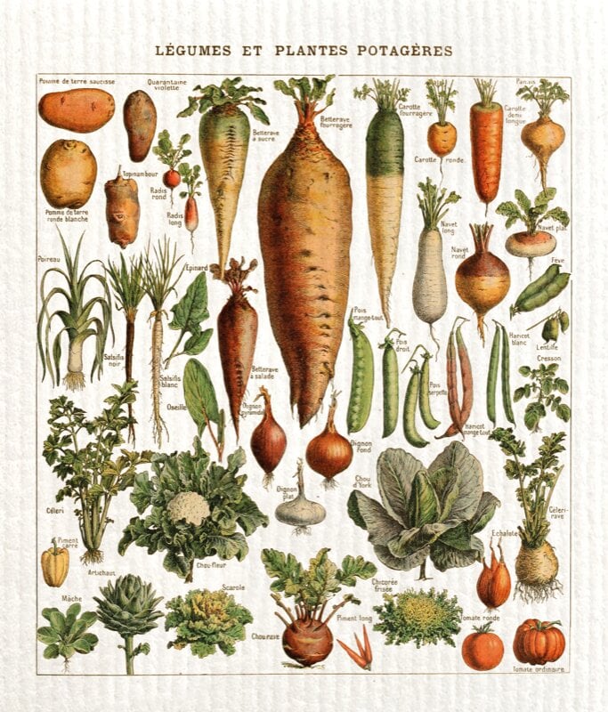 Dishcloth Vegetables