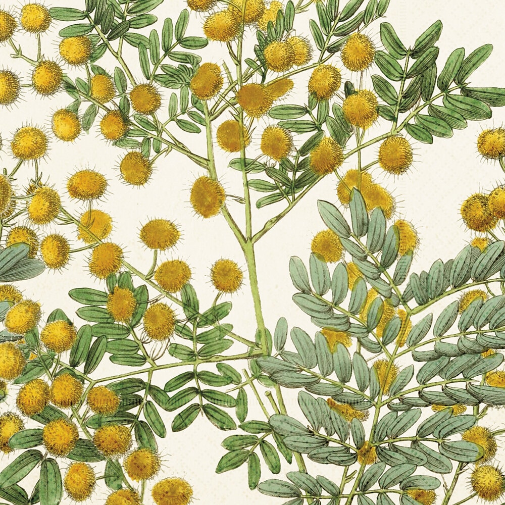Napkin Mimosa