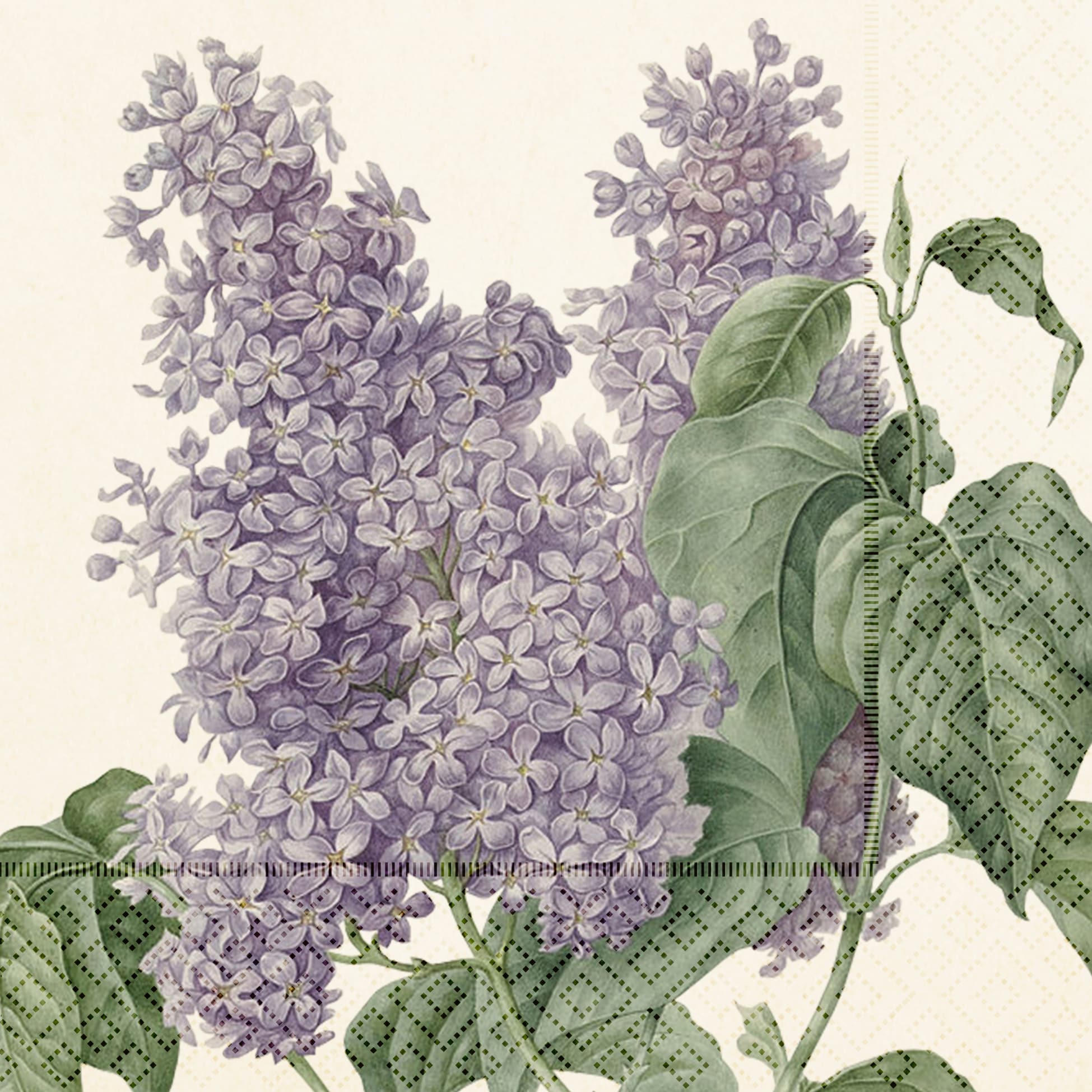 Napkin Lilac