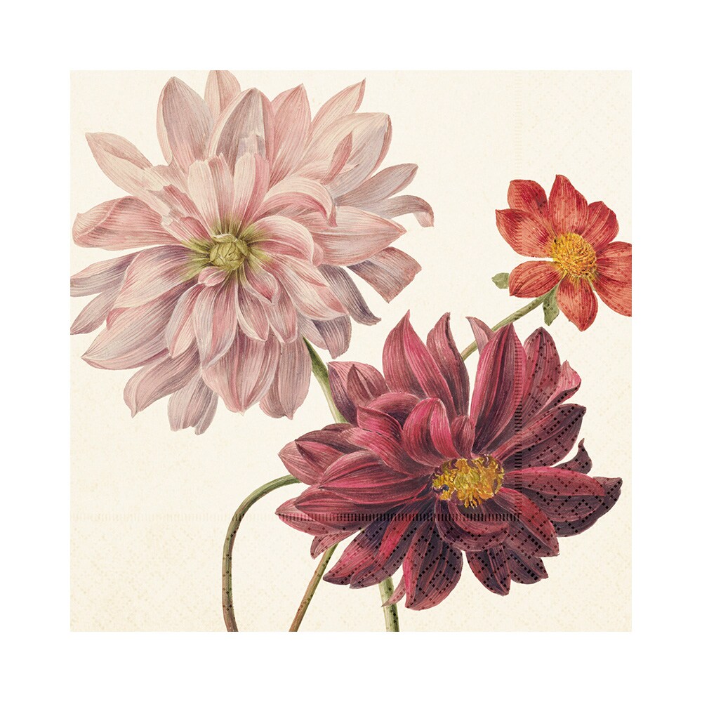 Napkin Dahlias