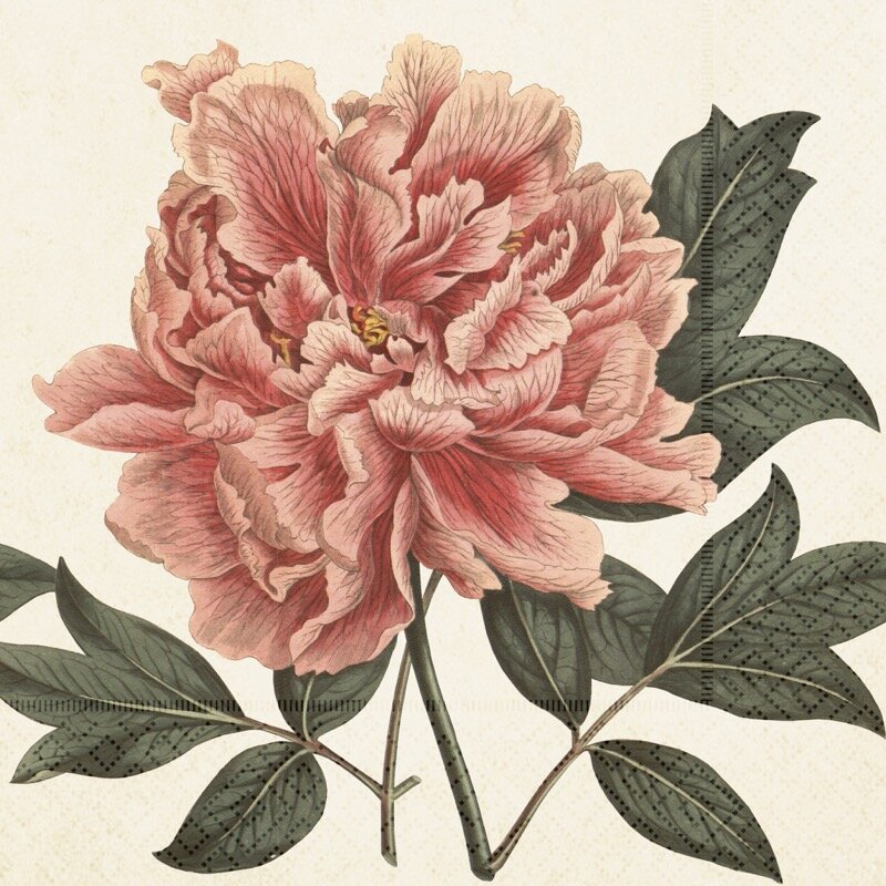 Napkin Peony