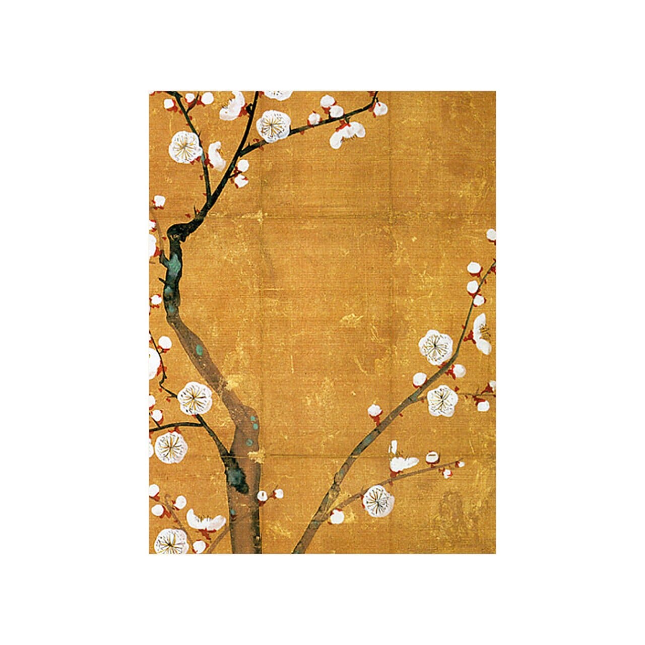 Poster Japanese Plum Tree