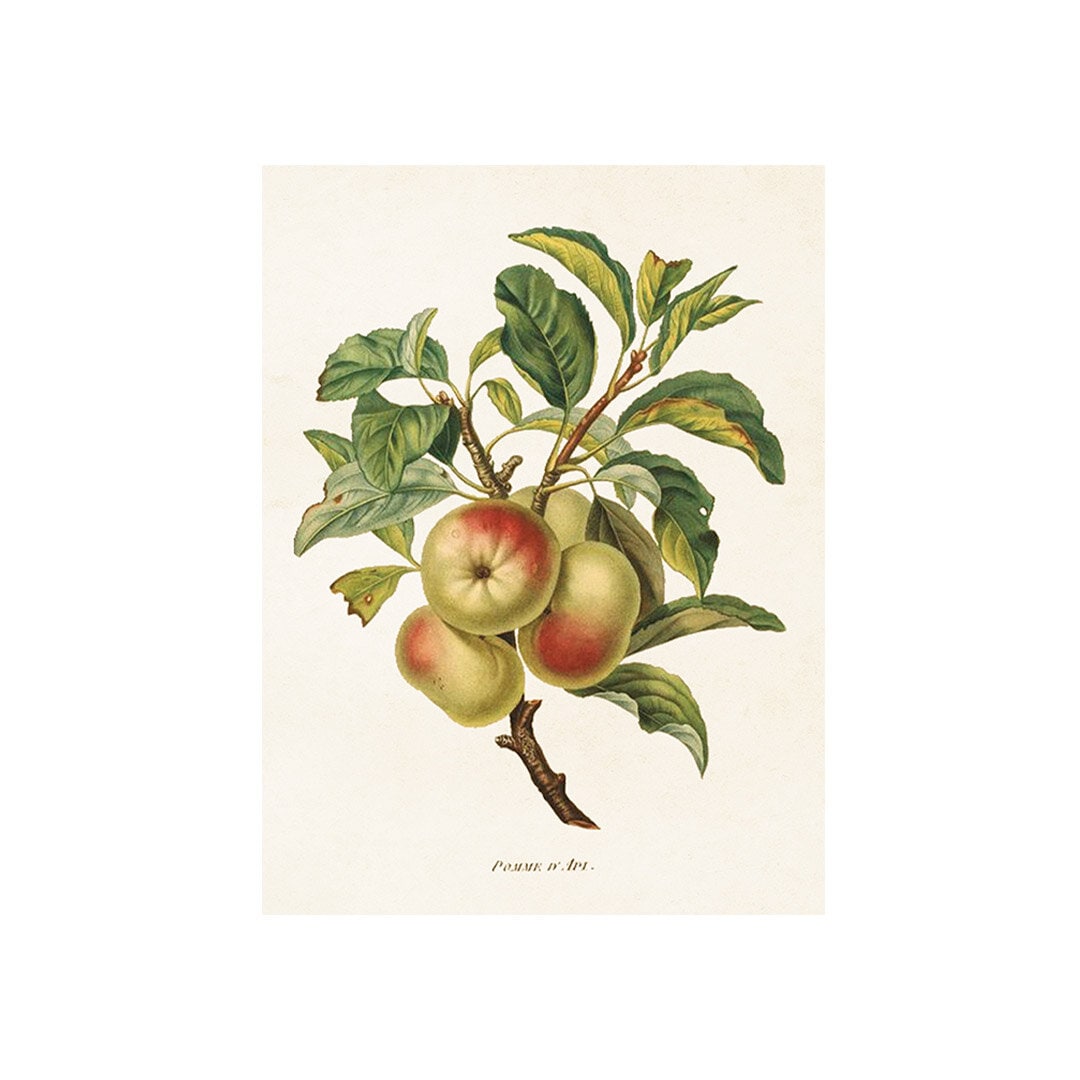 Poster Apples