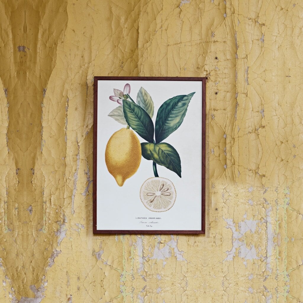 Poster Lemon