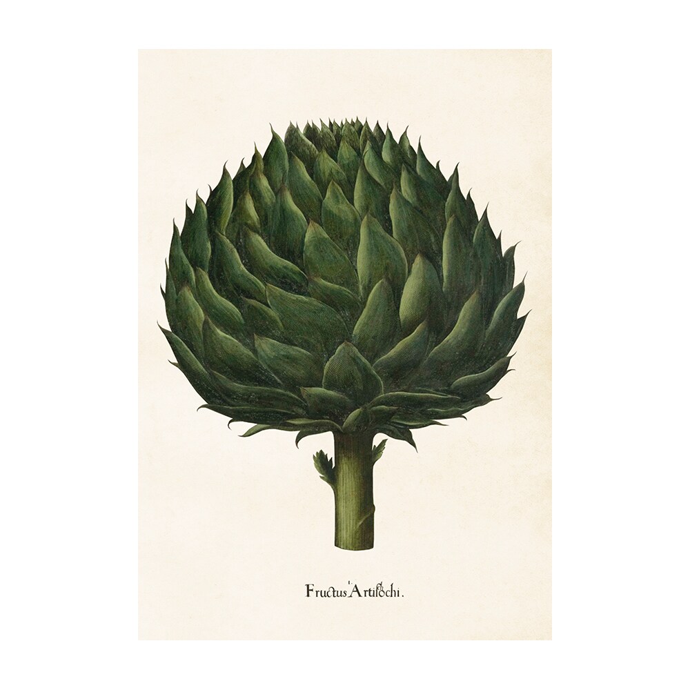 Poster Artichoke