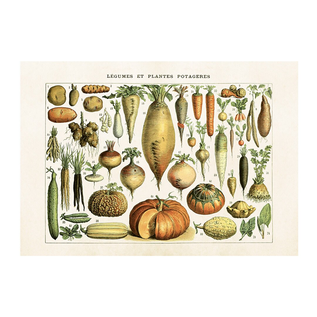 Poster Vegetables Medium